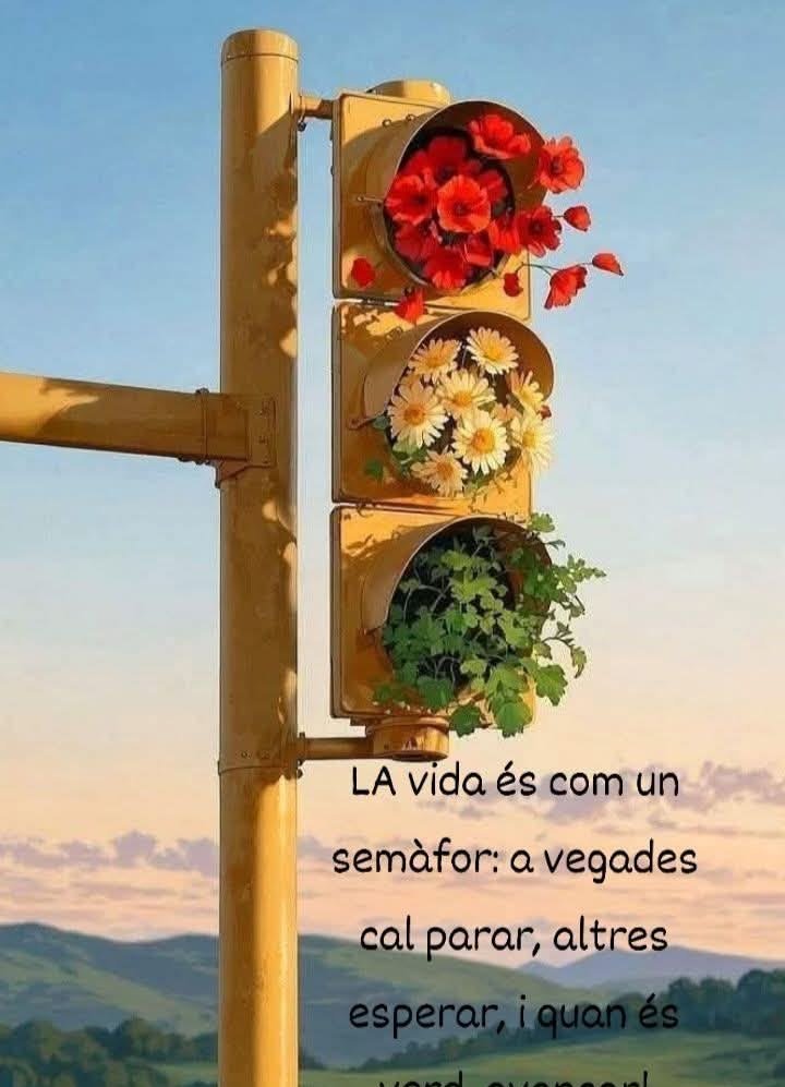 Imágenes de Buenos Días Bon Dia Imatges Boniques