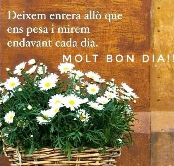 bon dia imatges boniques i especials