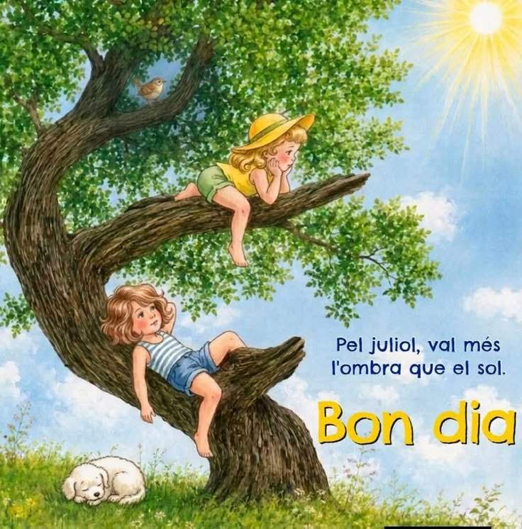 bon dia alegres imatges boniques