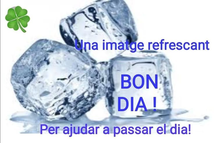 bon dia pau imatges boniques