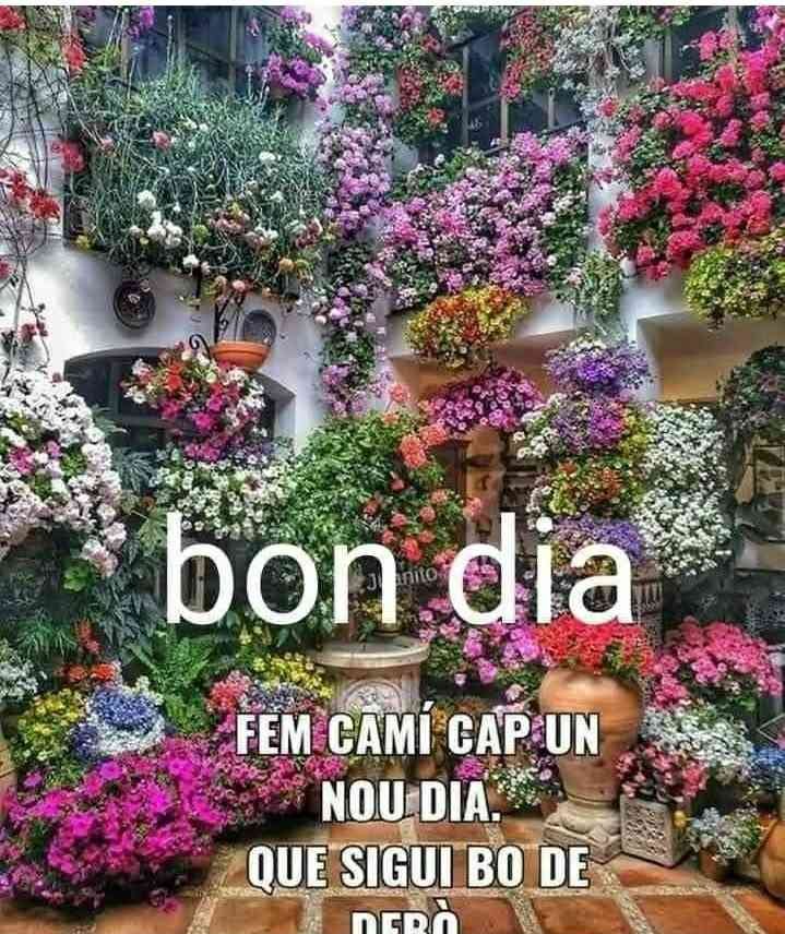 bon dia per al grup imatges boniques