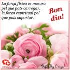 bon dia estimats imatges boniques