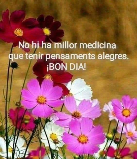 bon dia llum imatges boniques