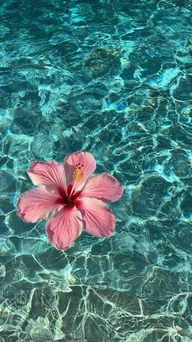 bon dia bonic de tot cor