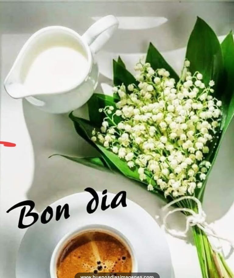 bon dia amor 1