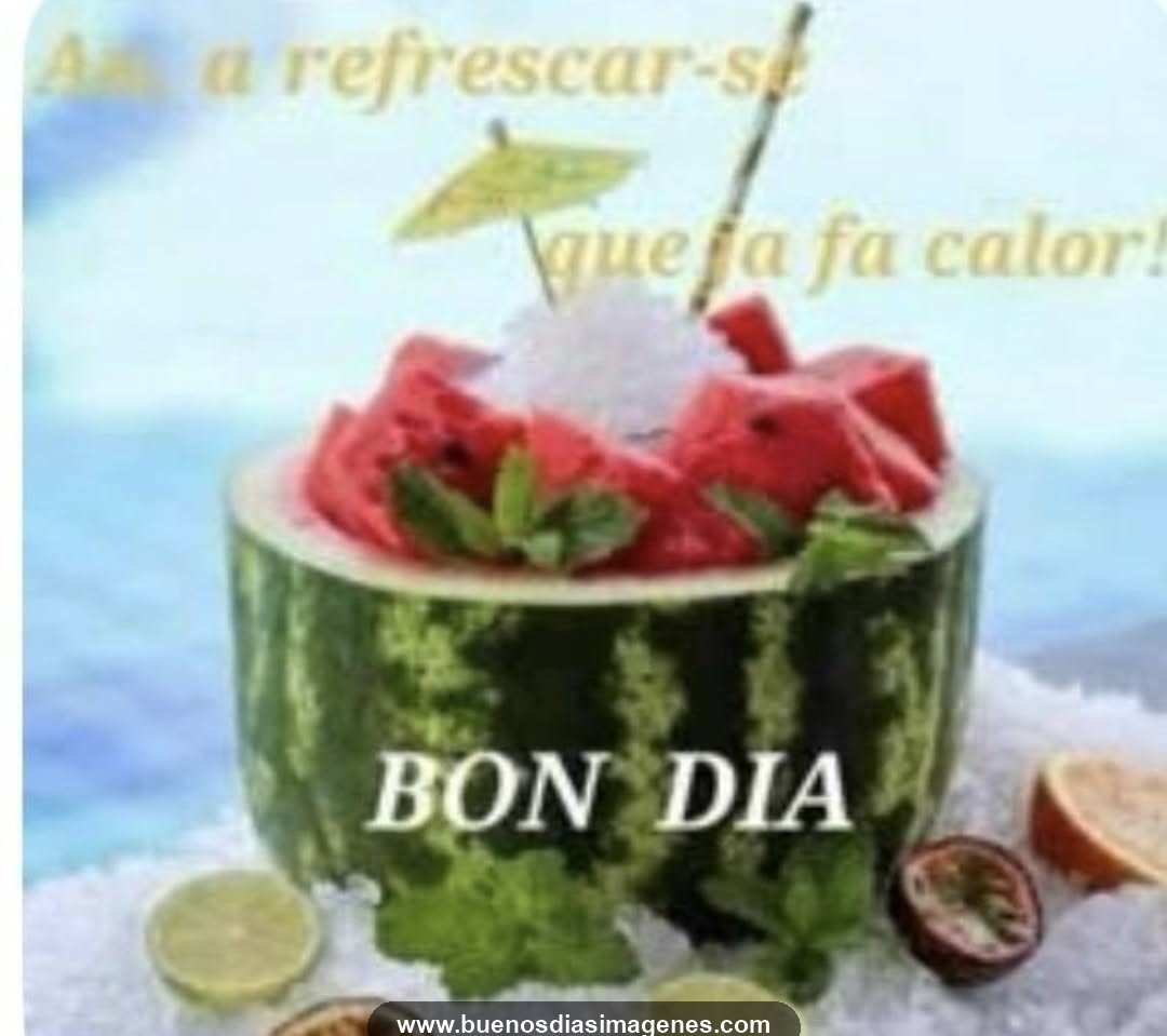 bon dia de tot cor 1