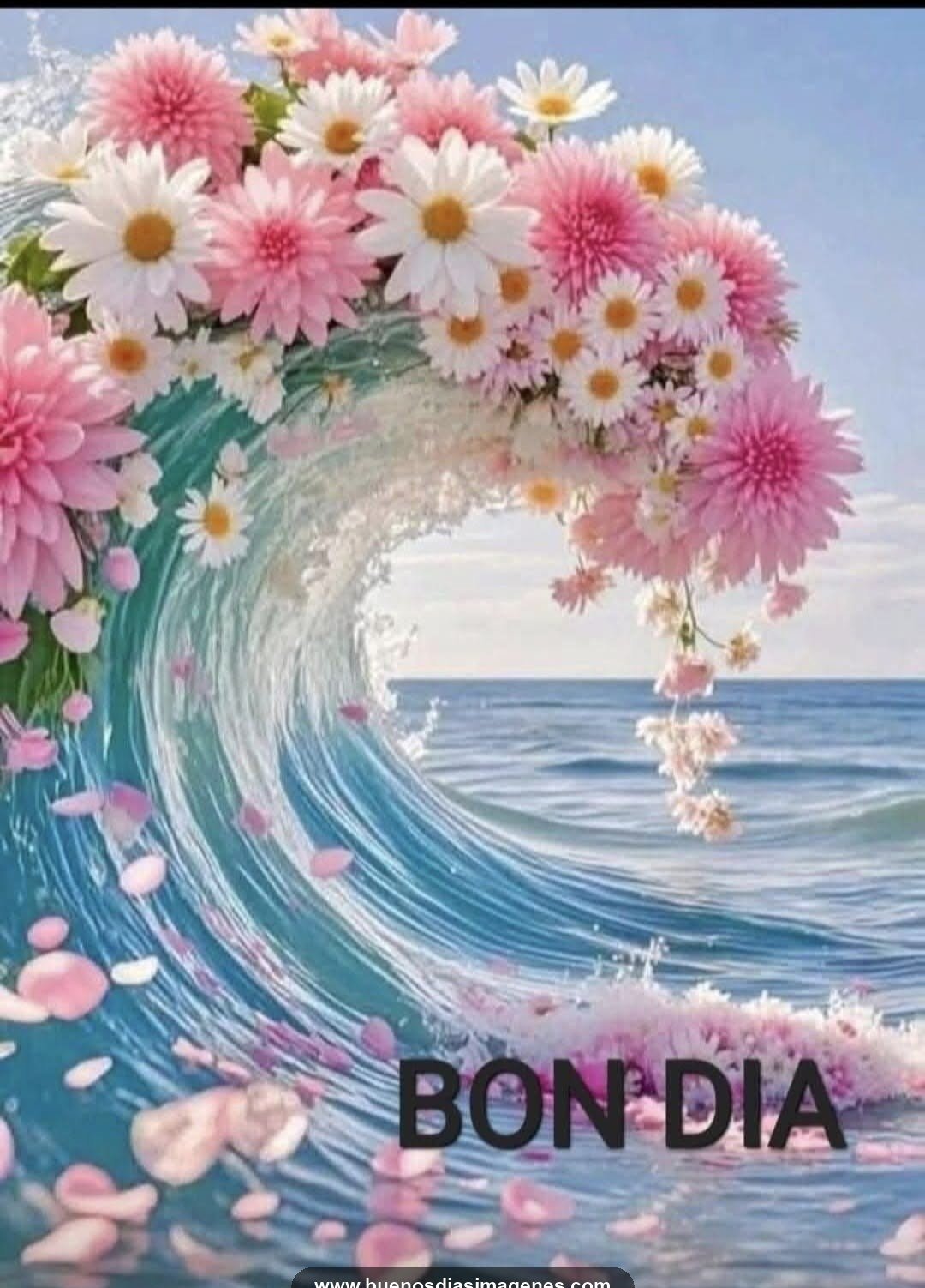 bon dia de tot cor 2