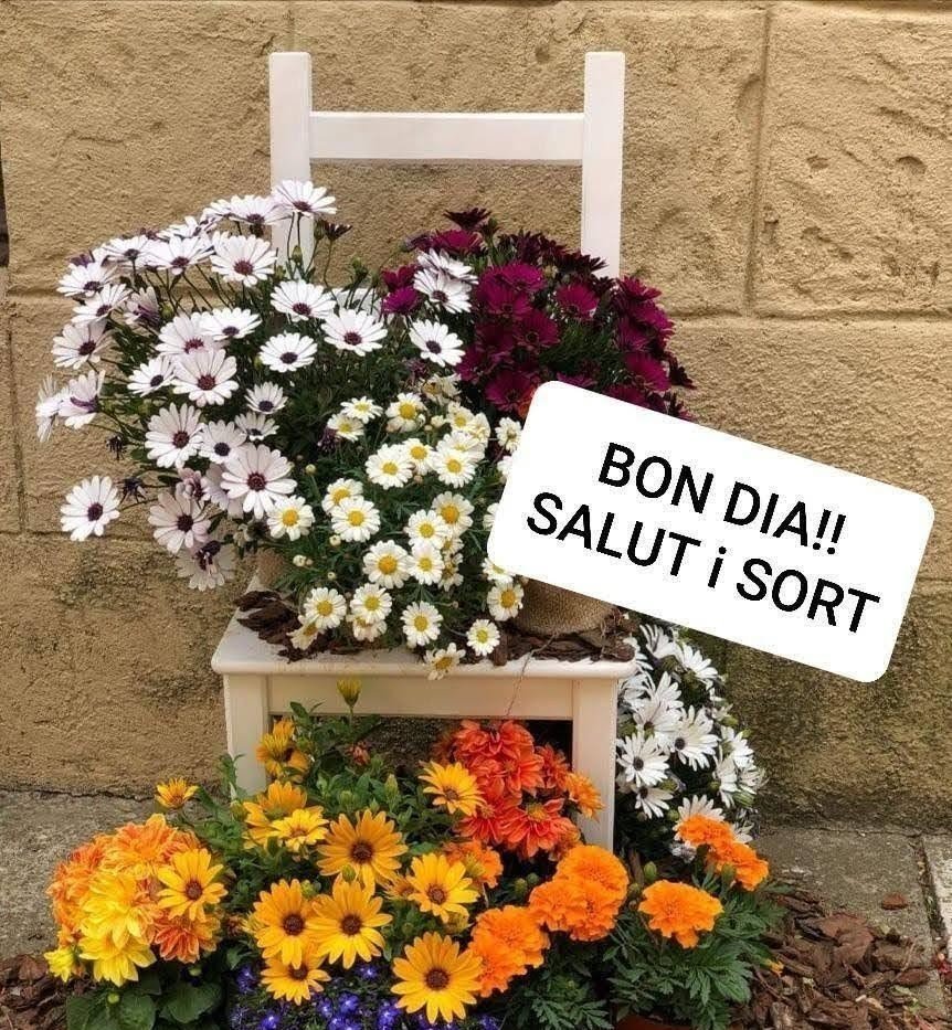 bon dia esperança