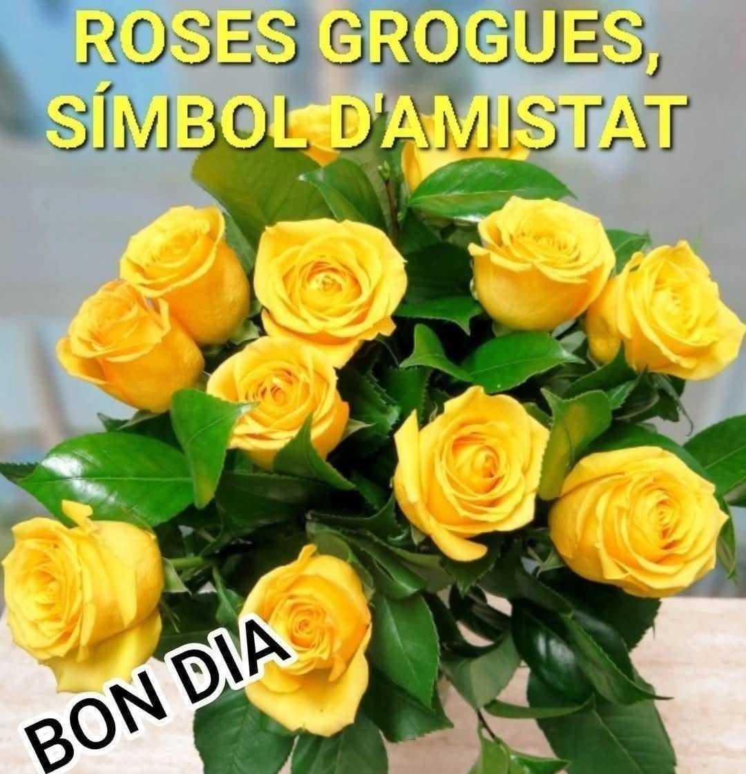 bon dia familia