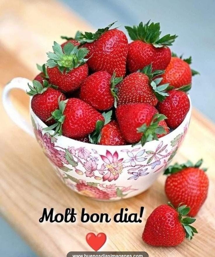 bon dia felic dia 2