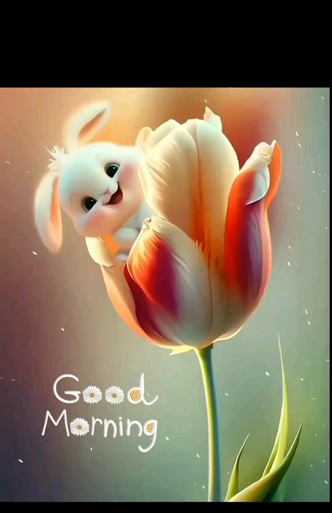 bon dia flors 1