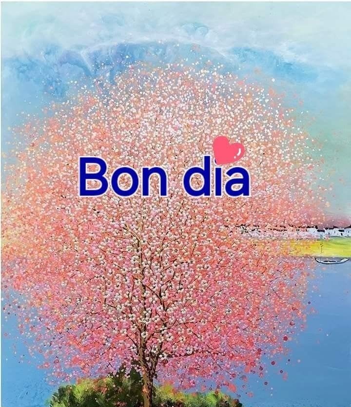 bon dia grup 2