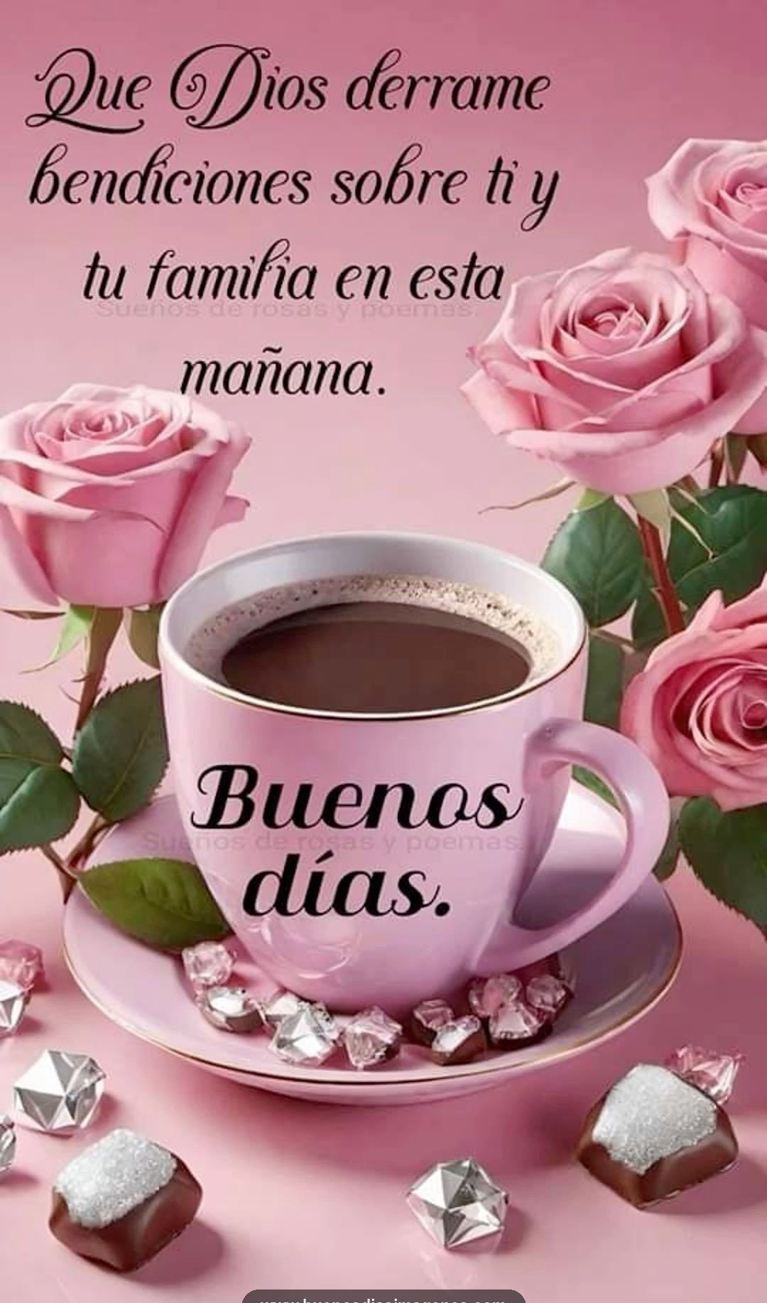 bon dia grup