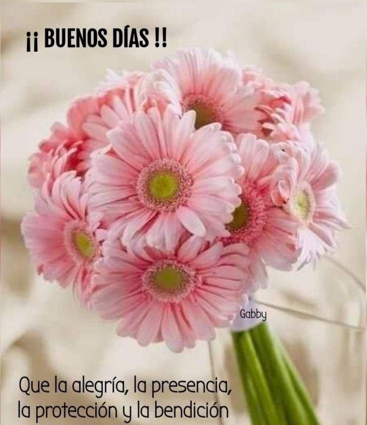 bon dia imatges boniques 2