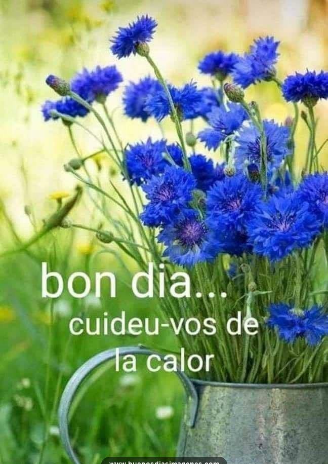 bon dia salutacions 2