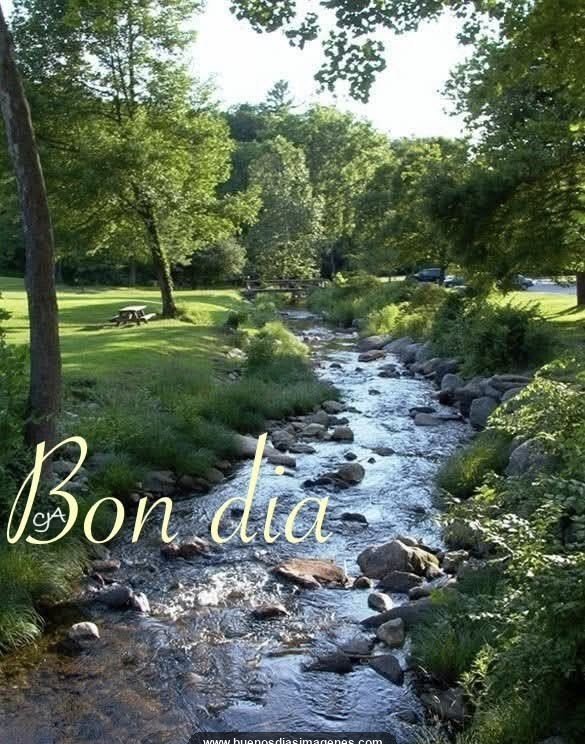 frases de bon dia en catala 1