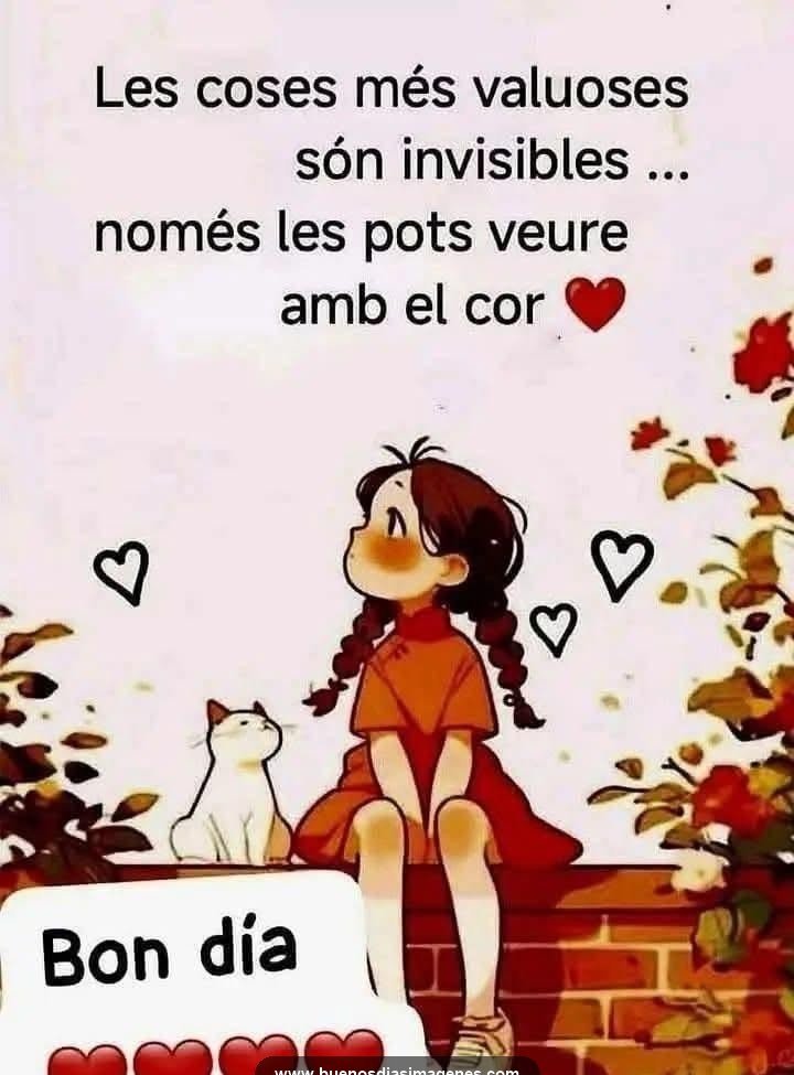 frases de bon dia en catala 2