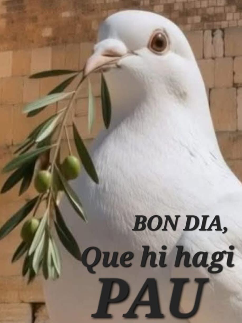 imatges de bon dia gratis per a whatsapp