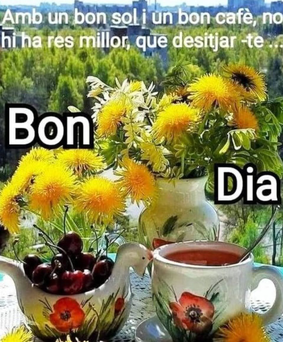 imatges de bon dia per a whatsapp 2