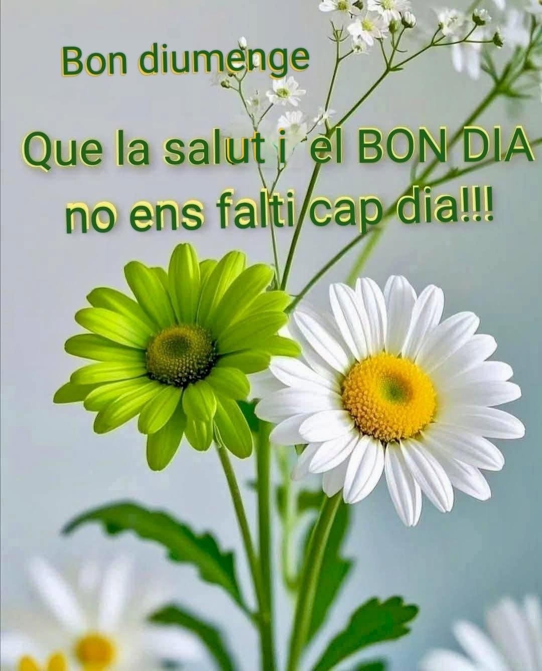 descargar feliz domingo gratis 1