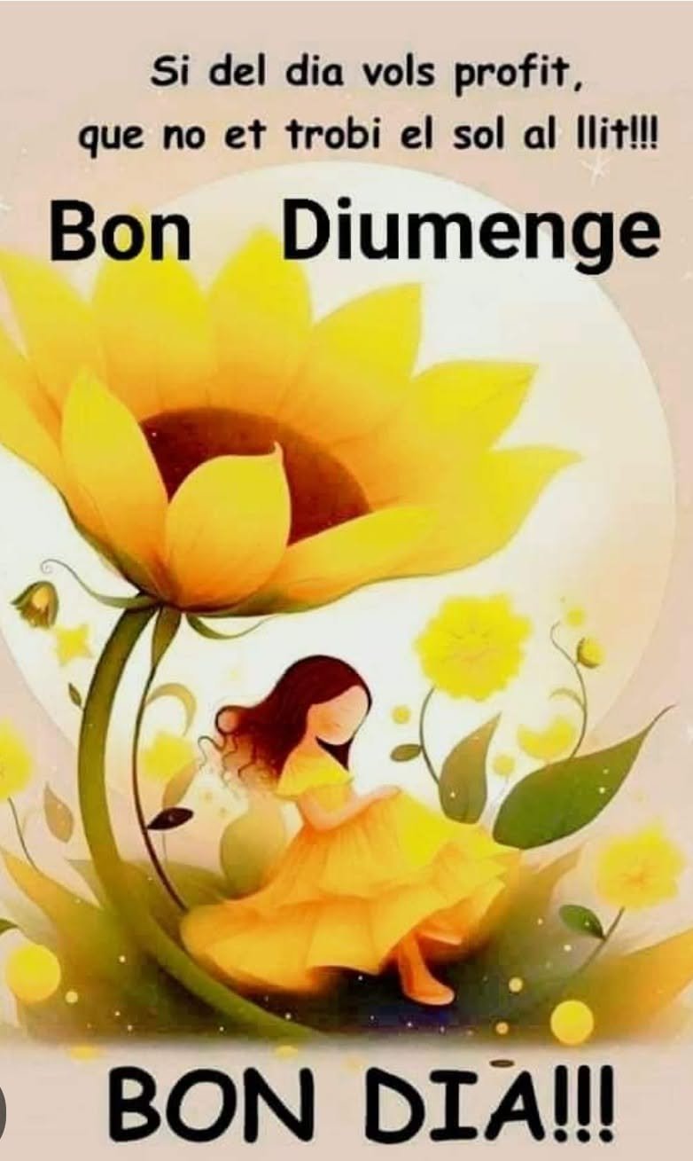 feliz domingo 2