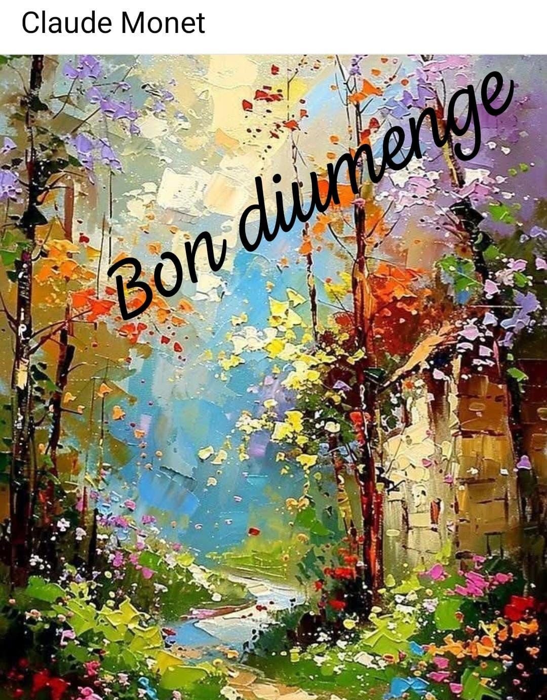 feliz domingo amigos