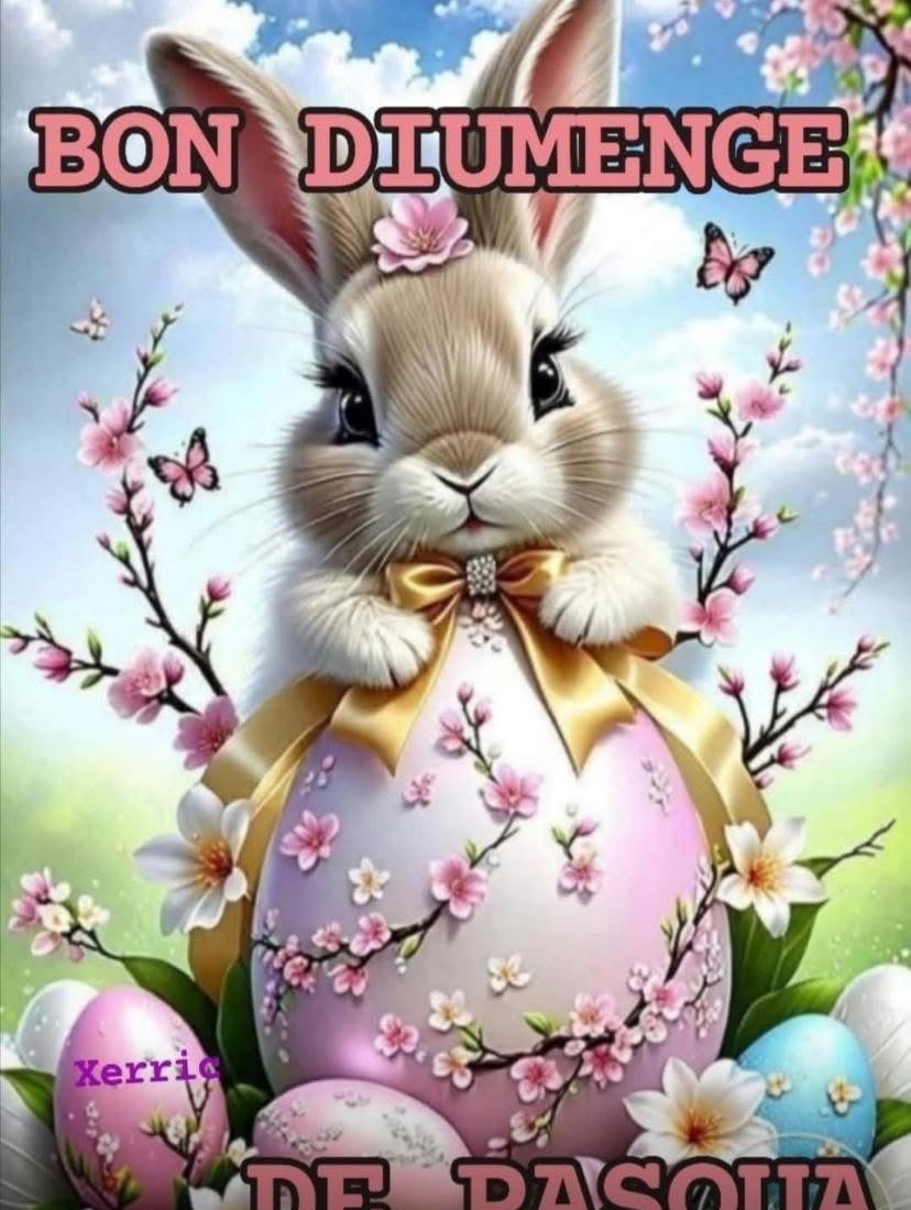 feliz domingo amor 2