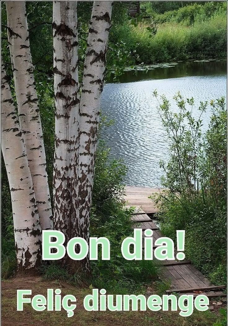 feliz domingo divertido 2