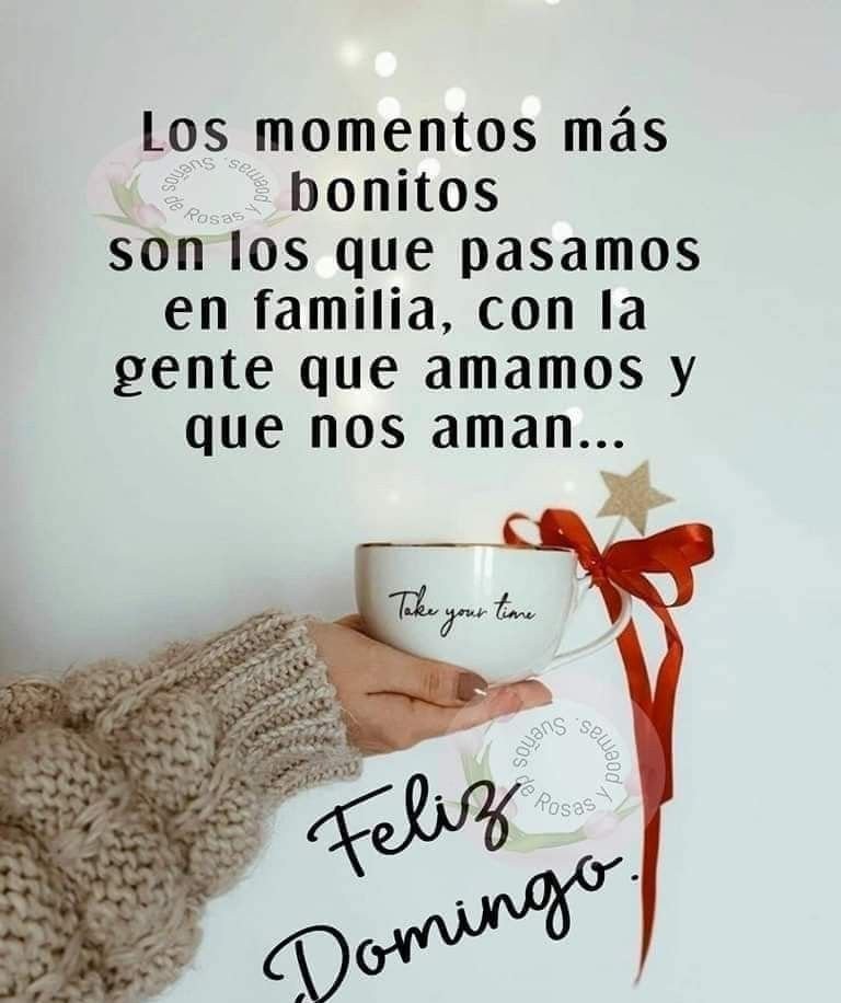 feliz domingo divertido