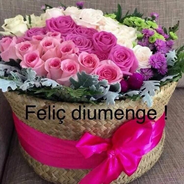 feliz domingo gratis 2