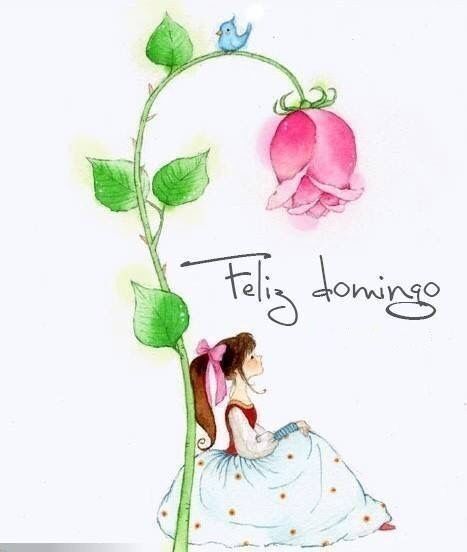 feliz domingo reflexion 2