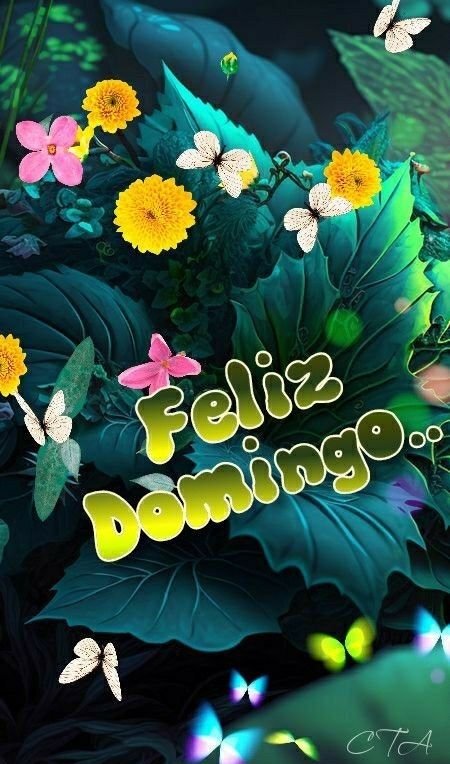 feliz domingo