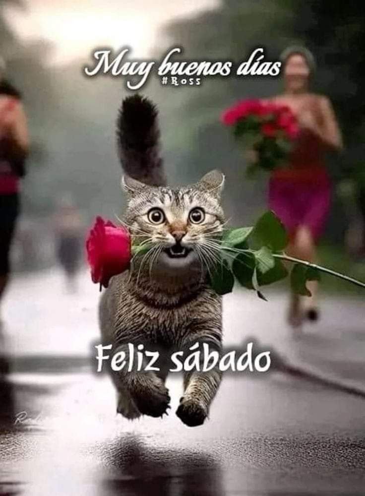 buen dia sabado feliz 2