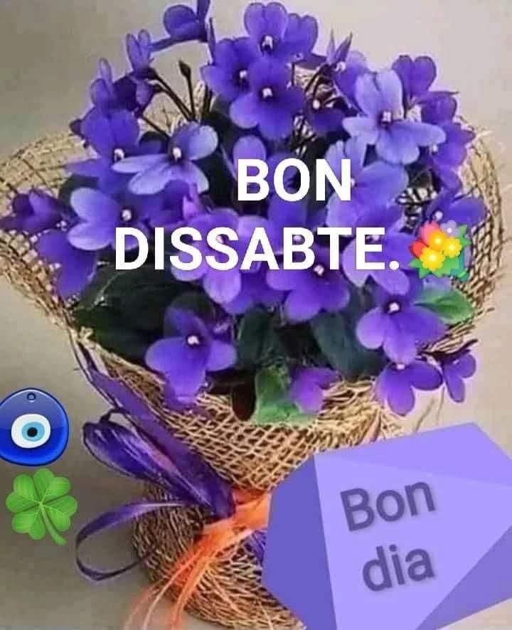 feliz sabado amigos 2