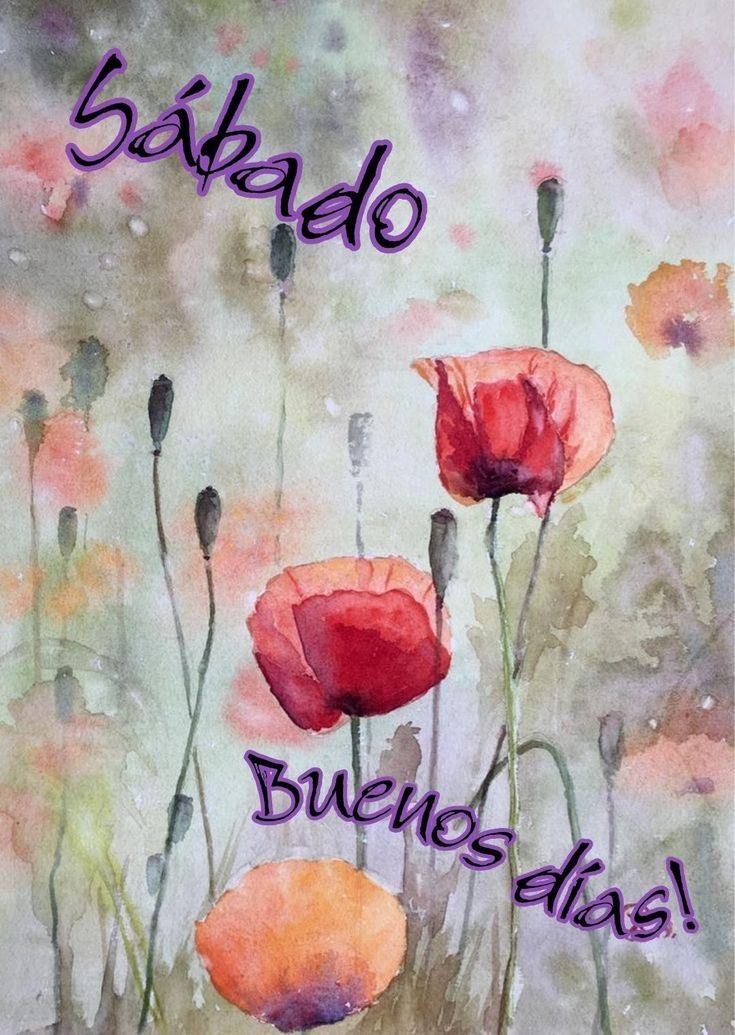 feliz sabado amigos