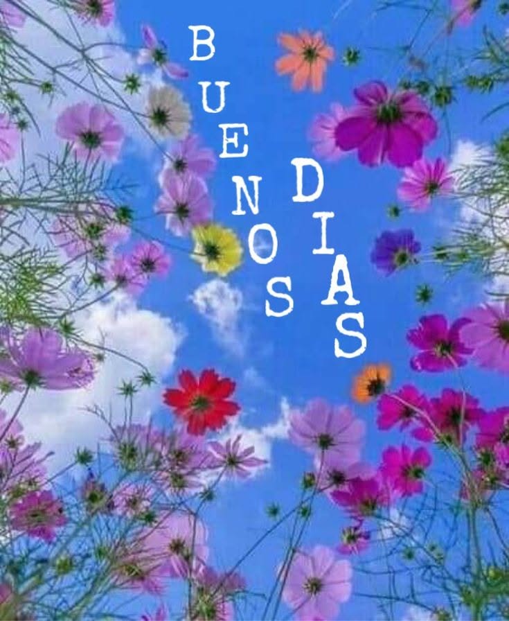buenos dias dios te bendiga hoy