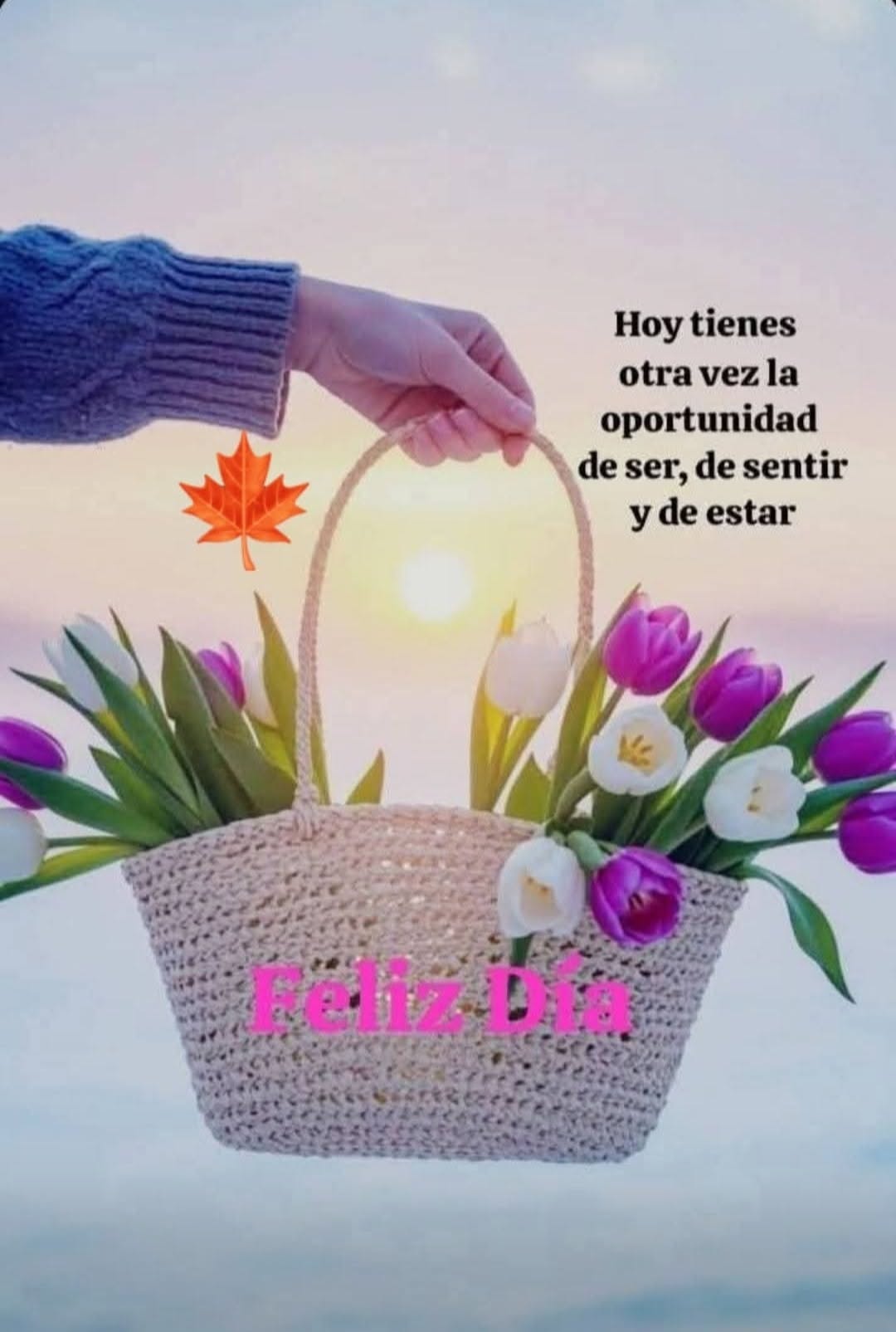 Imagen: Buenos Días