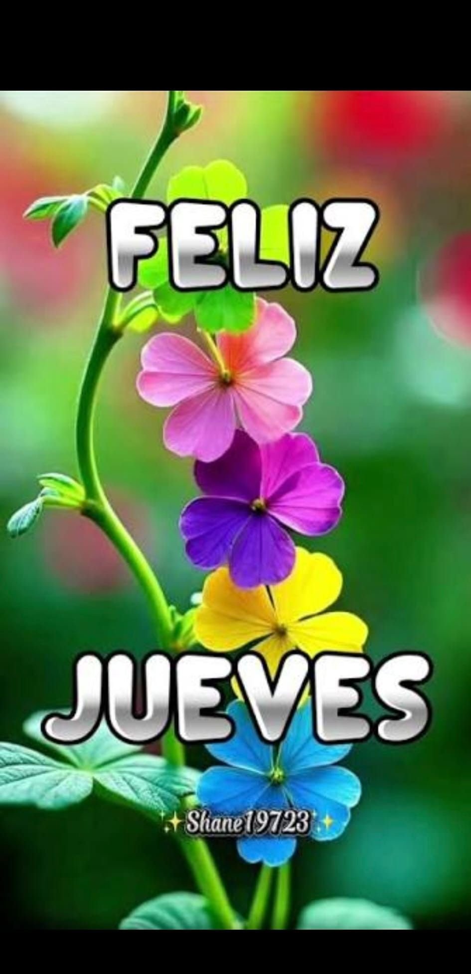 buen dia jueves feliz