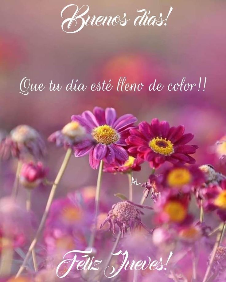 feliz jueves