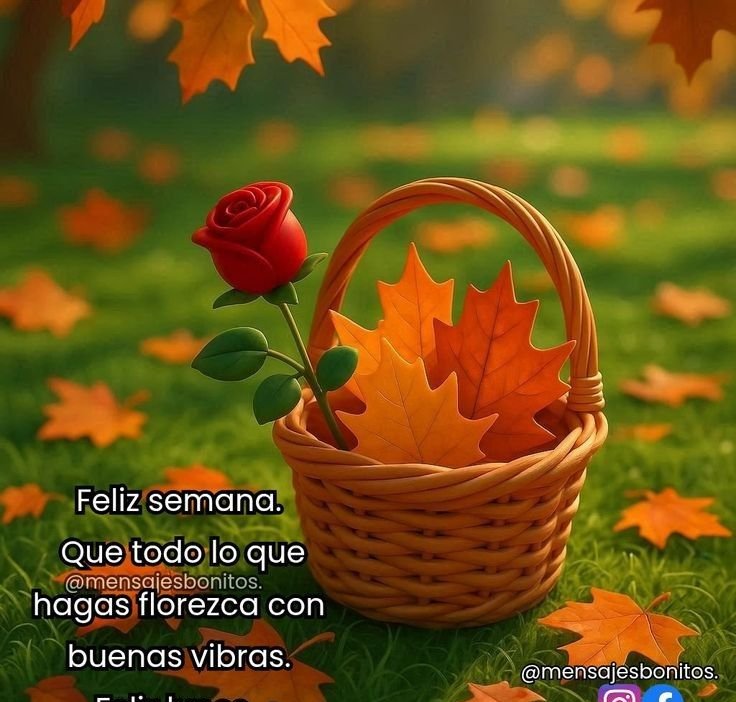 descargar feliz lunes gratis 1