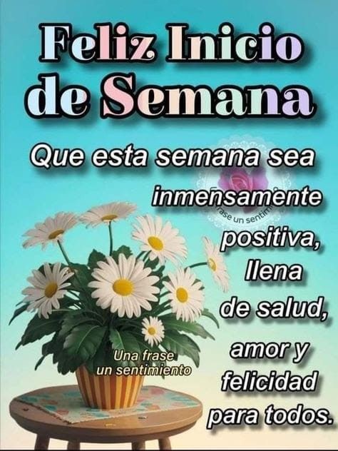 feliz lunes divertido 2