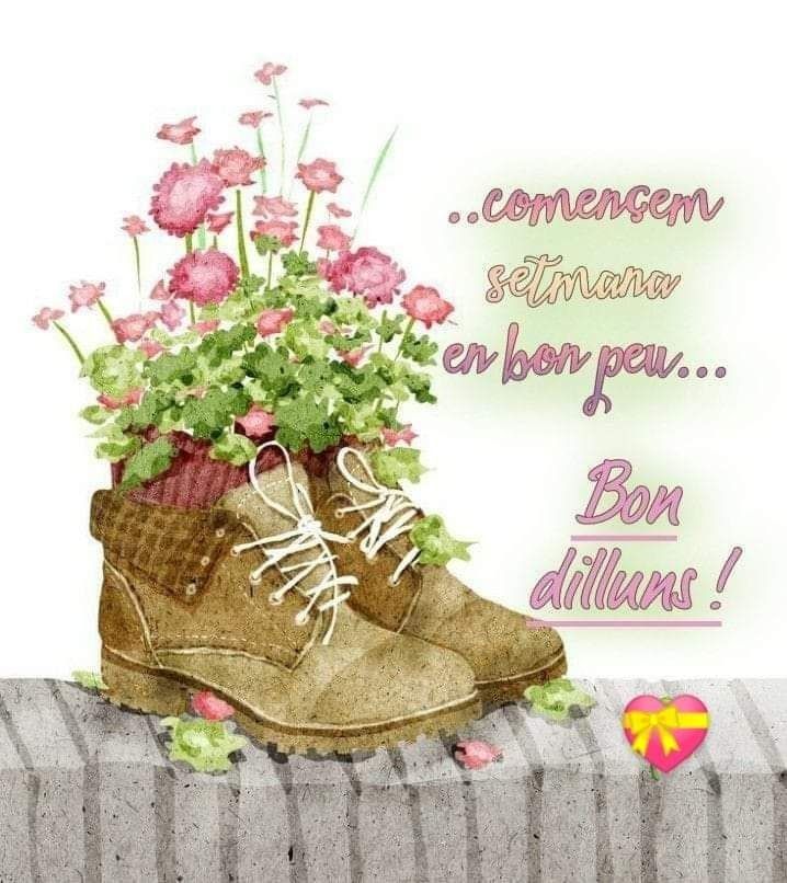 frases de feliz lunes 1