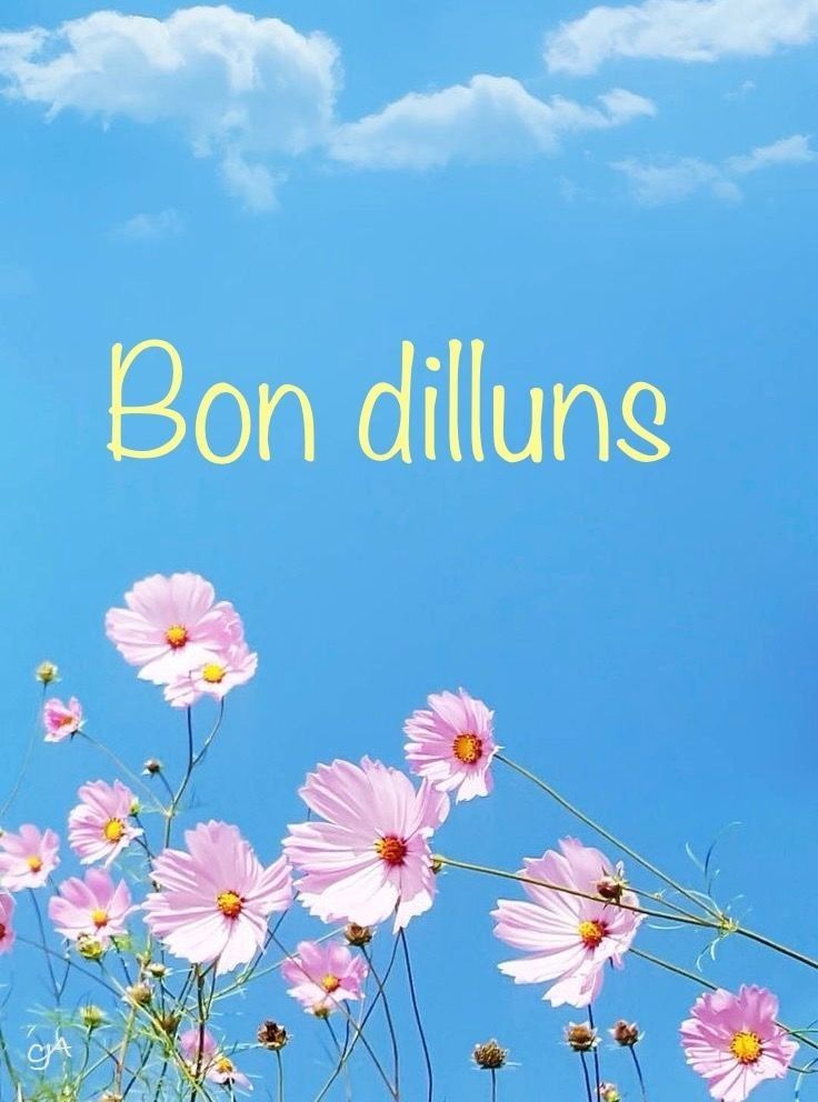 imagenes de feliz lunes 2