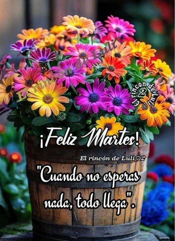 feliz martes amigos