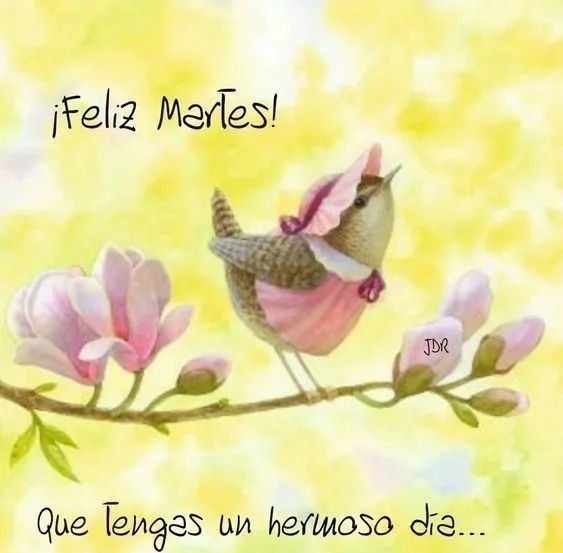 feliz martes divertido
