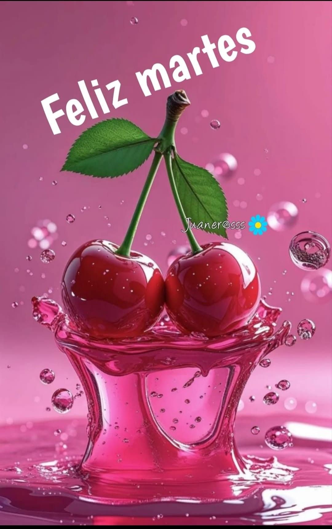 feliz martes grupo