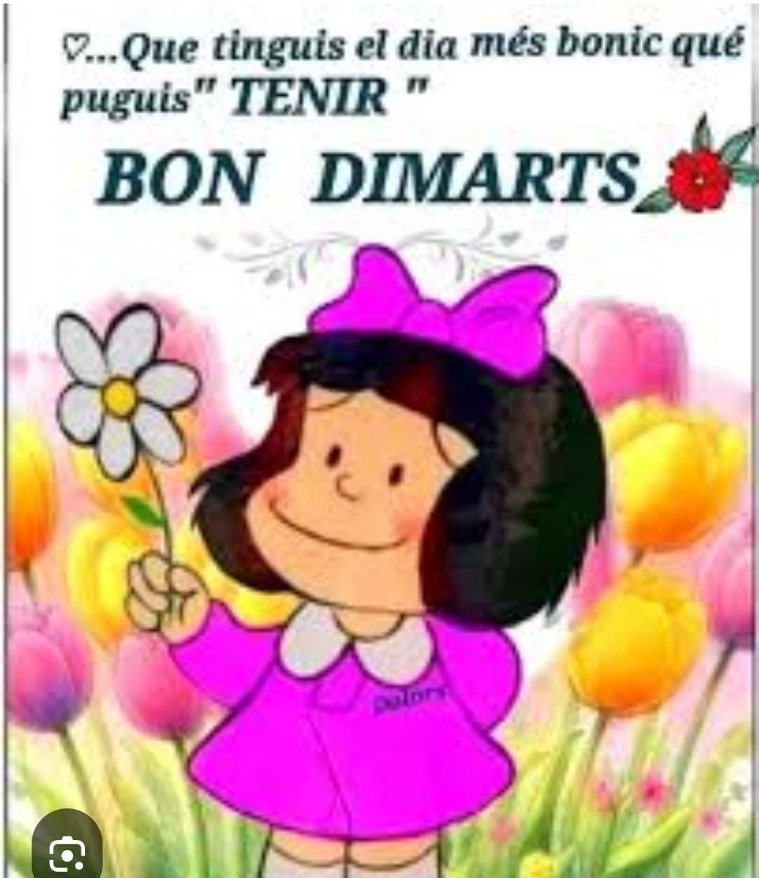fotos de feliz martes 1