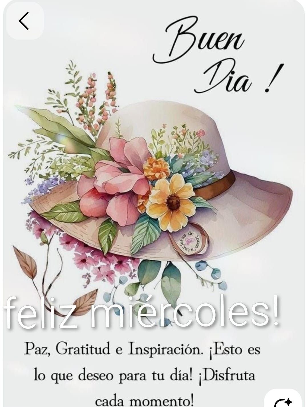 buen dia miercoles feliz