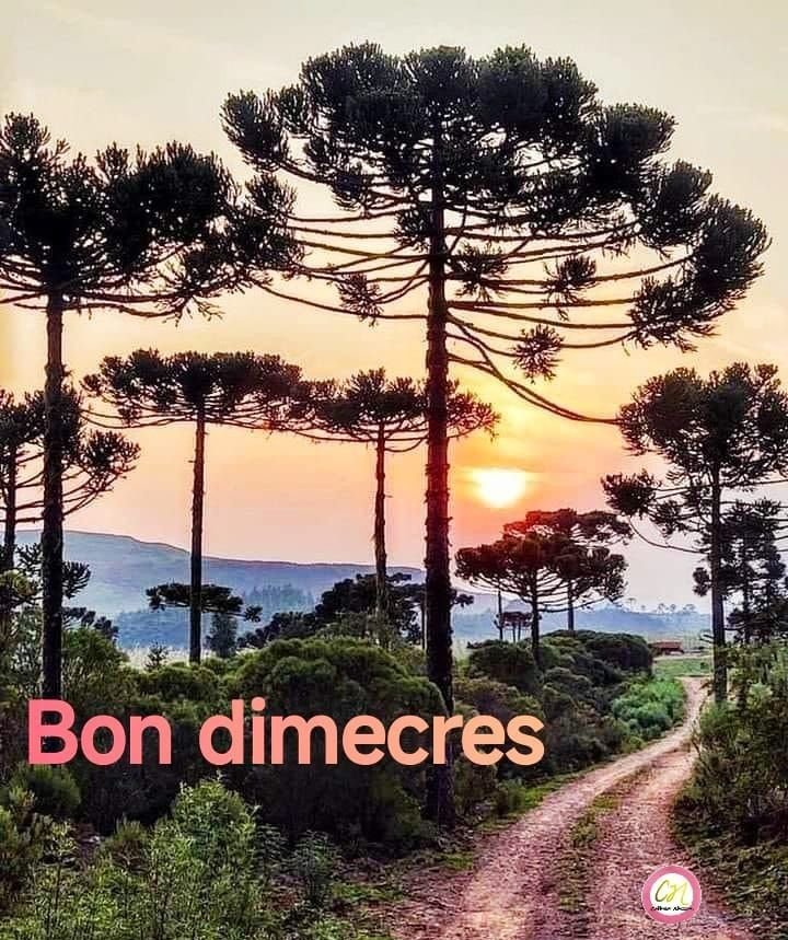 feliz miercoles 1