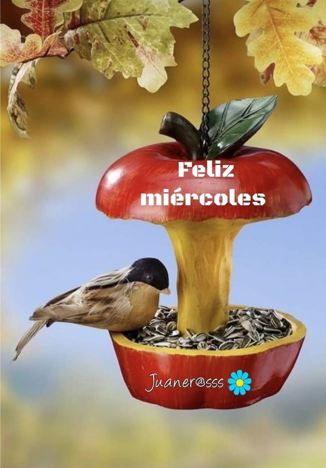 feliz miercoles bendiciones